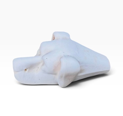 English porcelain parian dog - parian,