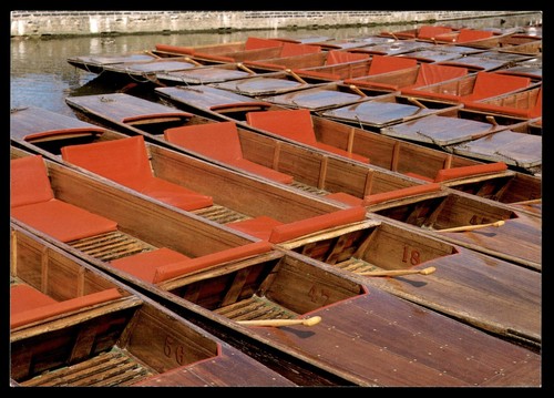 Postcard cambridge punts on - -,