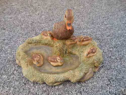 Border fine arts mallard - fine, duck