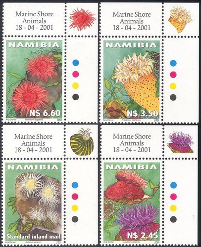 Namibia 2001 sea - namibia,