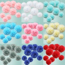 Time to Sparkle 10PCS 6 8 10 inch Mixed Tissue Paper Pompoms Large Poms Balls