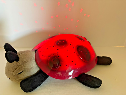 Cloud twilight ladybug star - b,