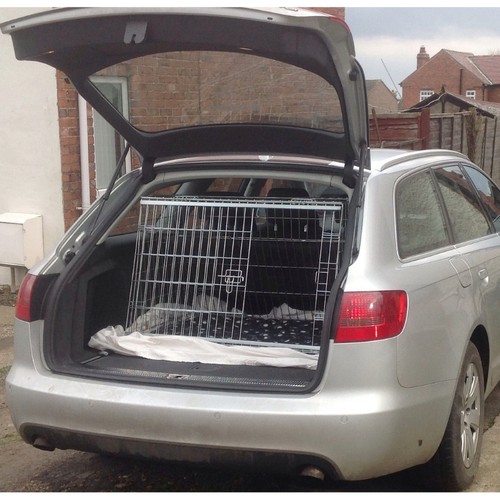 Pet world audi - pet,
