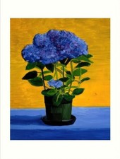 David Hockney Blue Hydrangeas