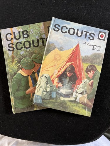 Ladybird cub scout and - cub,