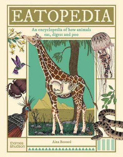 Eatopedia encyclopedia of - an,