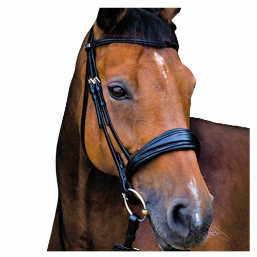 Stubben switch bridle - stubben,