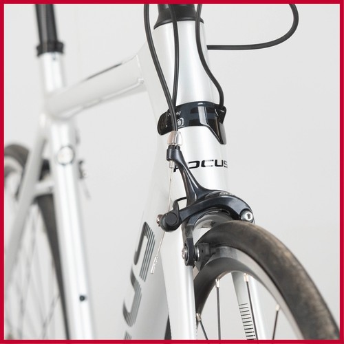 Nos focus izalco - nos, race
