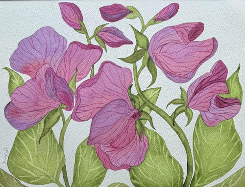Painting watercolor flowers - watercolor,