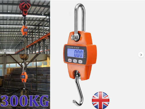 300kg mini crane scale - mini,