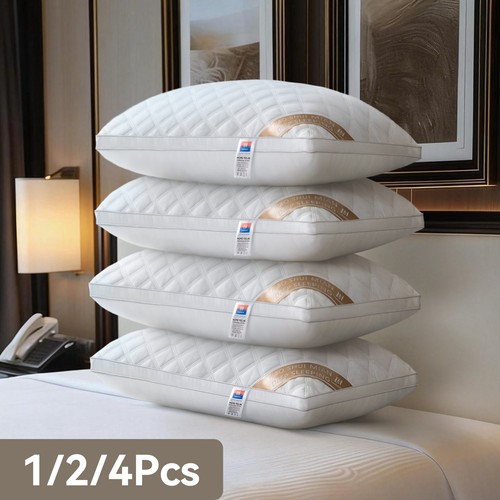 Pack 800g queen - 1/2/4,