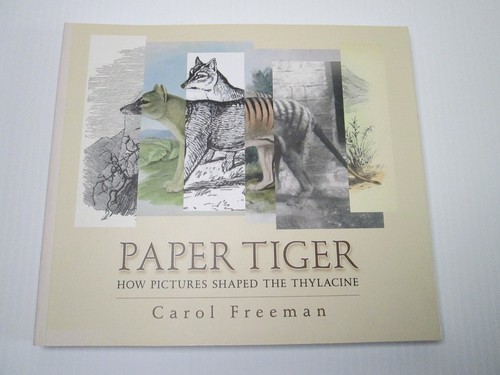 Paper tiger how pictures - tiger,