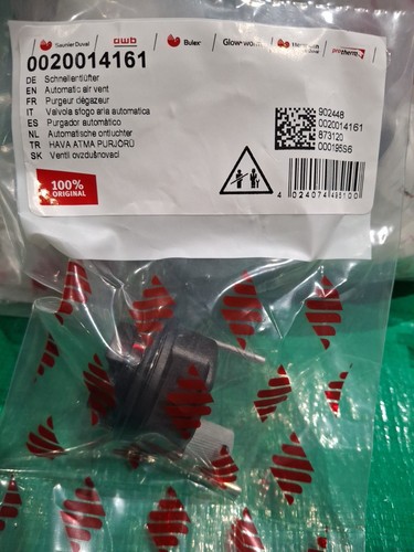 Genuine glow worm - genuine, glow-worm