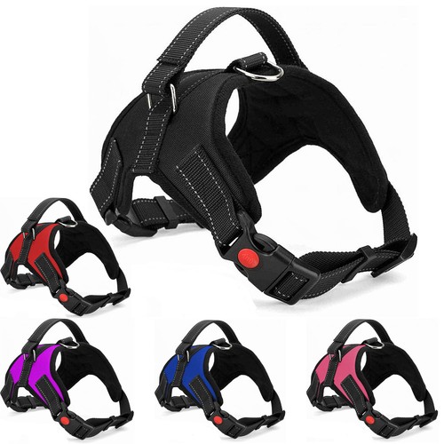 Dog harness pull for - dog,