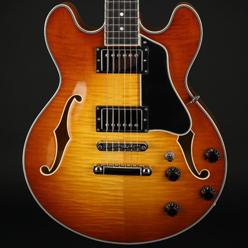 Eastman t484 thinline - eastman, t484-gb