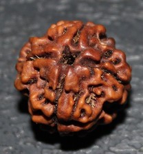 NEPALESE FOUR CHAR 4 MUKHI