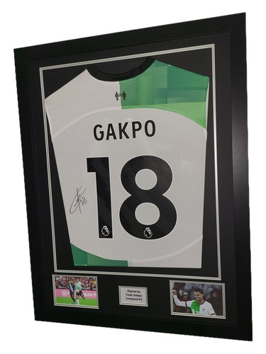 Cody gakpo hand - cody,