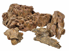 Dragon Stone Rock Natural Fish