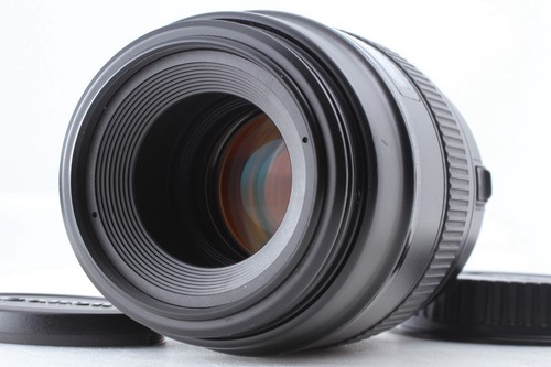 Near mint canon - 🎦【, 】canon