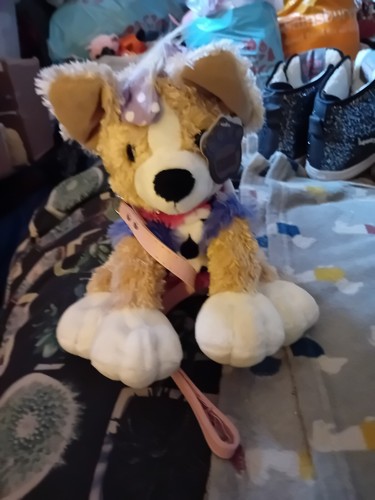 Posh paws puppy - posh, lead