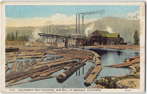 Antique postcard graeagle - antique,