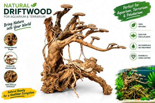 Natural aquarium driftwood - aquarium,