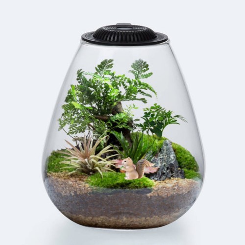 Betta terrarium glass bio bowl - glass,