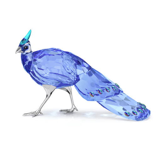 Swarovski 2026 scs palawan - scs,