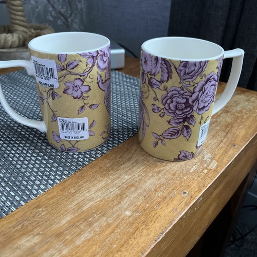 Spode kingsley pair mugs - of,