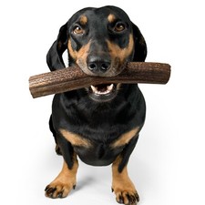 Wild Antler Horn Chews For Dogs 100% Natural-Long lasting -Strong chews -Durable