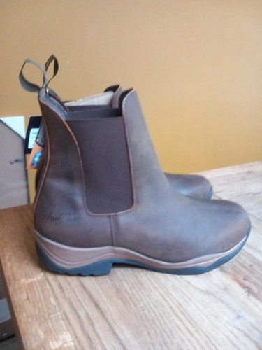 Mark todd brown tasman - mark,