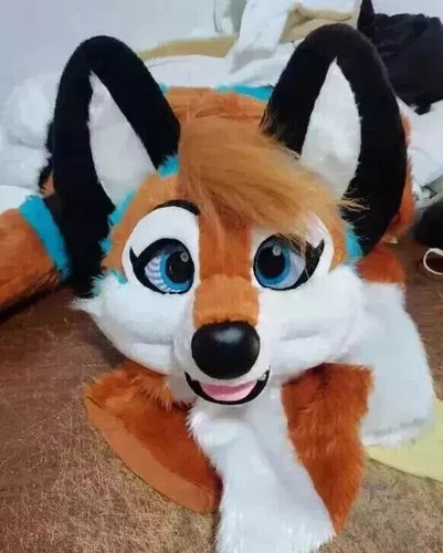 Fursuit long fur husky - fursuit,