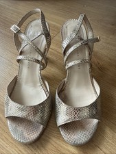 MADAM PIVOT Golden Tango Shoes