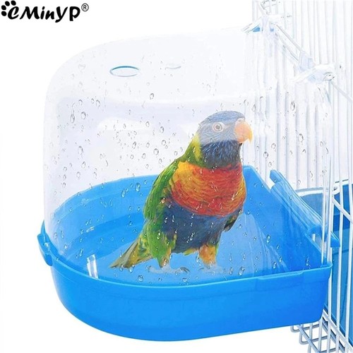 Classic caged bird - bird, aviary