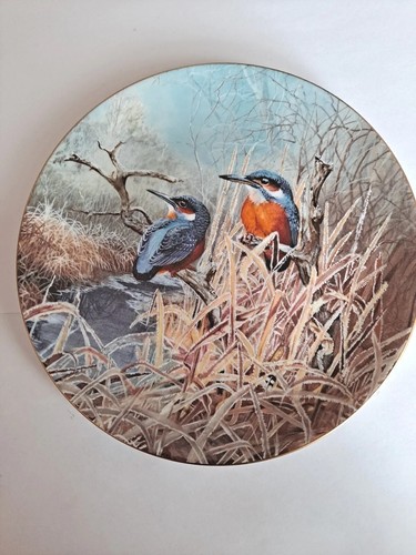Coalport kingfisher at dawn - coalport:,
