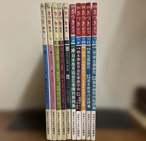 Satsuki Kenkyu Magazine 10