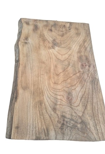 English elm live - english, |