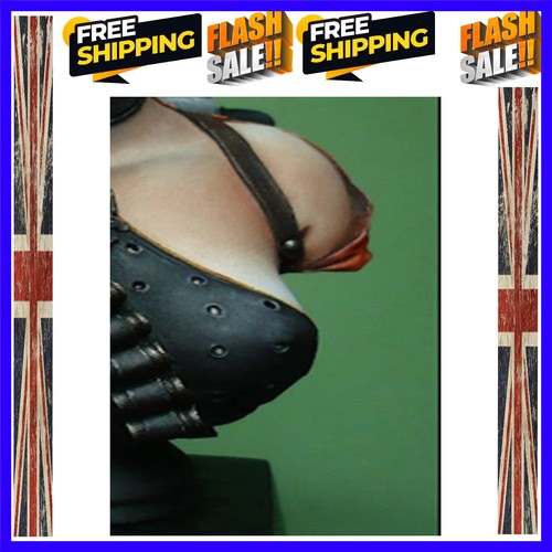 Resin soldier femal pilot - femal,
