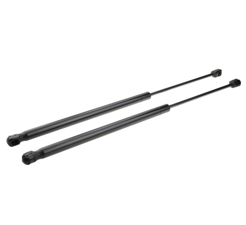 Tailgate boot spring - x2,