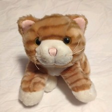 Keel Orange/white Tabby Cat