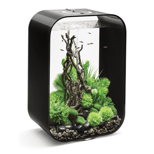 Biorb life aquarium - life, with