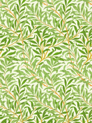New morris willow - morris,