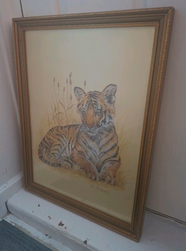 Fennell tiger cub framed - cub,