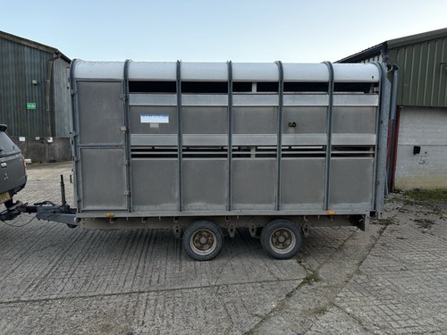 Ifor williams sheep - sheep, /