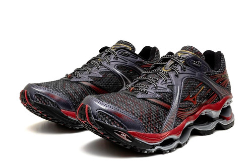 Mizuno wave prophecy - prophecy, 1