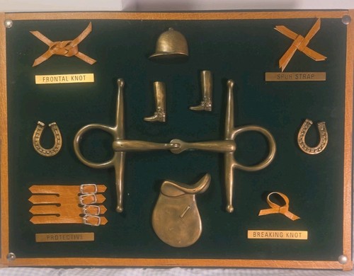 Dezine equestrian horse tack - dezine,