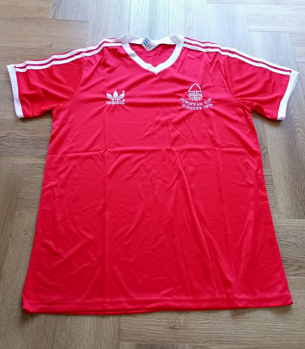 Nottingham forest home - forest,