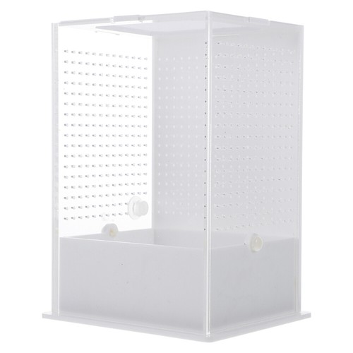 Stick insect enclosure high - enclosure,