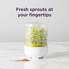 Winter Greens with Chef'n