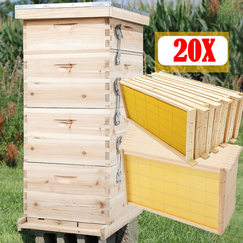 4tier langstroth beehive - 4tier,